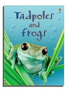 Image for Tadpoles and Frogs