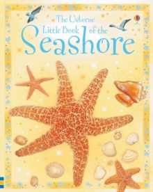 Image for Little Book Of The Seashore
