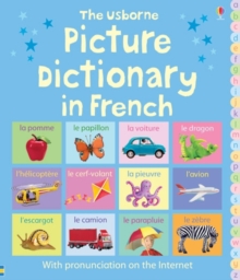 Image for The Usborne picture dictionary in French
