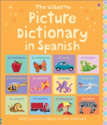 Image for Picture Dictionary in Spanish