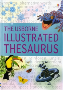 Image for The Usborne Illustrated Thesaurus