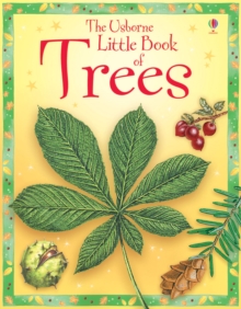 Image for The Usborne little book of trees