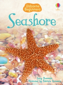 Image for Seashore