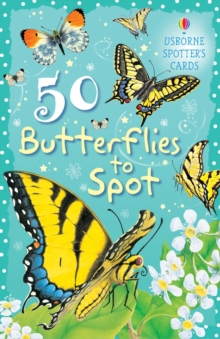 Image for 50 Butterflies to Spot