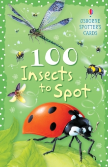 Image for 100 Insects to Spot Usborne Spotters Cards