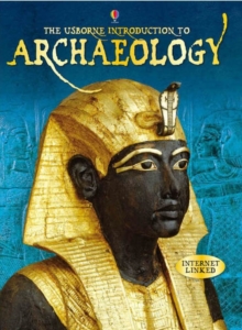 Image for The Usborne introduction to archaeology