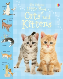 Image for Little Book of Cats and Kittens