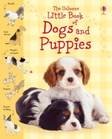 Image for Little Book of Dogs and Puppies