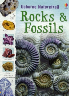 Image for Rocks and Fossils