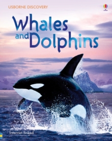 Image for Discovery Whales and Dolphins