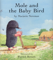 Image for Mole and the Baby Bird