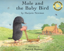 Image for Mole and the Baby Bird