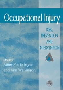 Image for Occupational injury  : risk, prevention and intervention