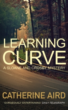 Image for Learning curve