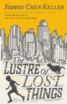 Image for The lustre of lost things