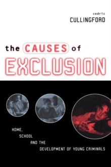 Image for The causes of exclusion  : home, school and the development of young criminals