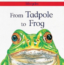 Image for From Tadpole to Frog