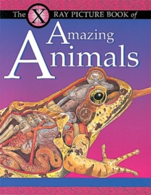 Image for X Ray Picture Book of Amazing Animals