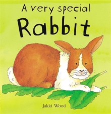 Image for A Very Special Rabbit
