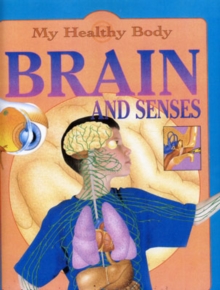 Image for Brain and Senses