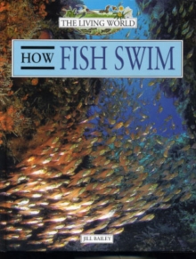 Image for How Fish Swim