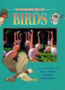Image for Focus on birds