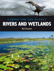 Image for Rivers and Wetlands