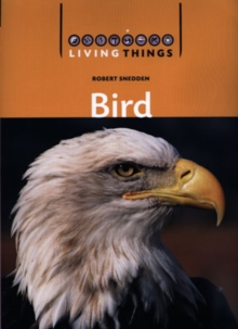 Image for Living Things: Bird