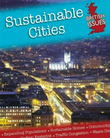 Image for Sustainable cities