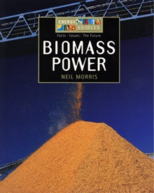 Image for Energy Sources: Biomass Power