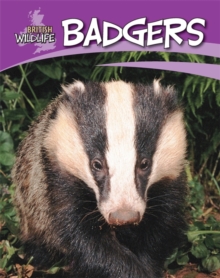 Image for Badgers