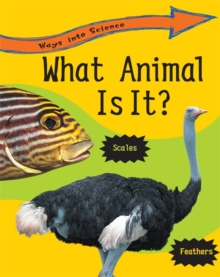 Image for What animal is it?