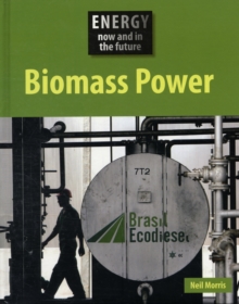 Image for Biomass power