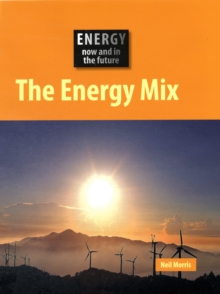 Image for The energy mix