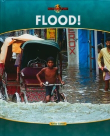 Image for Flood!