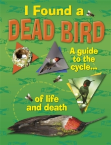 Image for I Found A Dead Bird - A guide to the cycle of life and death