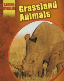 Image for Grassland animals