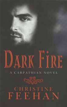 Image for Dark fire