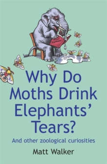 Image for Why do moths drink elephants' tears?  : and other zoological curiosities