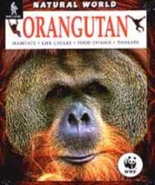 Image for Natural World Orangutan