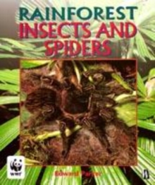 Image for Rainforest insects and spiders