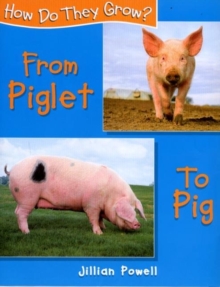 Image for How Do They Grow: Piglet To Pig