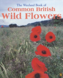 Image for Wayland Book of Common British Wild Flowers