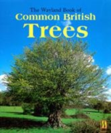 Image for The Wayland Book of Common British Trees