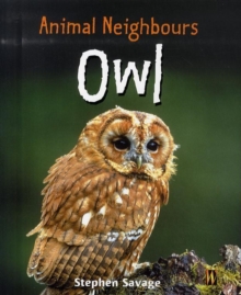 Image for British Animals: Owl