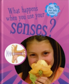 Image for What happens when you use our senses?