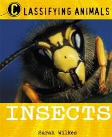 Image for Classifying Animals: Insects