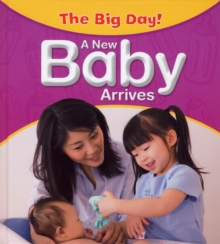 Image for The Big Day: A New Baby Arrives