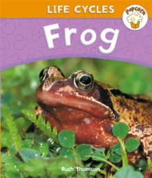 Image for Popcorn: Life Cycles: Frog