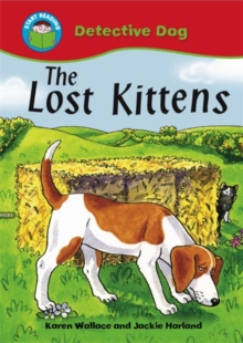 Image for The lost kittens